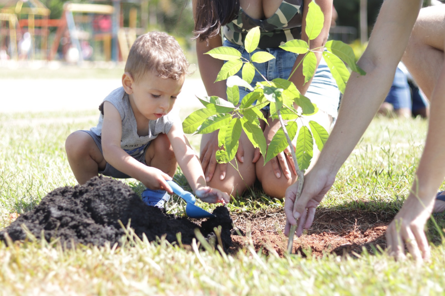 Imagem: Projeto ‘Árvore FamiliAR’ abre inscrições para plantio no Parque Max Feffer em Suzano. Publicada no portal A+.