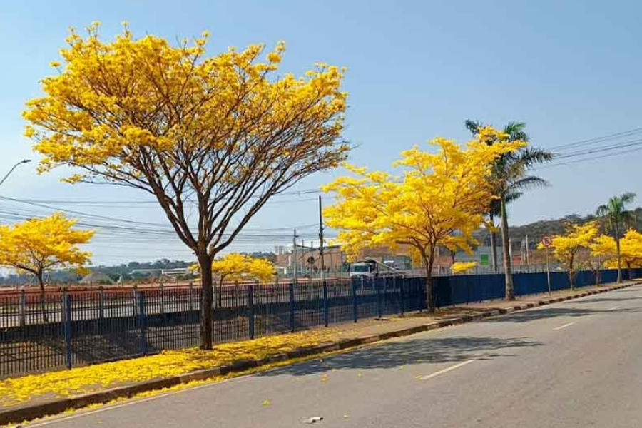 Imagem: Concurso fotográfico de Arujá abre inscrições dia 19 com prêmios de até R$ 1,5 mil. Publicada no portal A+.