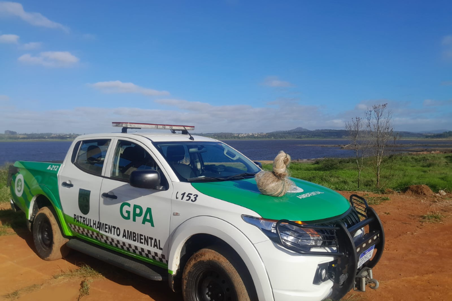 Imagem: GPA resgata ouriço, apreende rede de pesca irregular e impede uso indevido de escavadeira em Suzano. Publicada no portal A+.