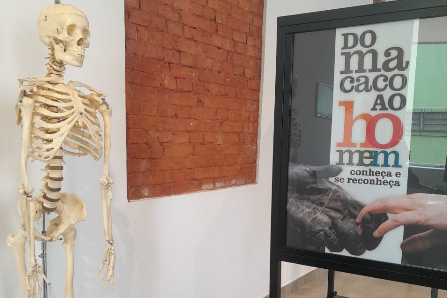 Imagem: Museu de Arujá abre exposição “Do Macaco ao Homem” em parceria com o Museu Catavento. Publicada no portal A+.