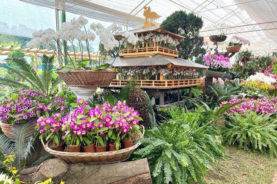 Imagem: Hub das Flores: Arujá oficializa parque que vai fortalecer produtores do Alto Tietê. Publicada no portal A+.