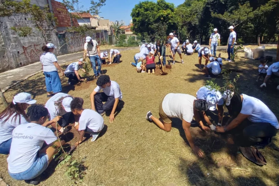 Imagem: Osasco espalha “Mini Pomares” por escolas e parques para fortalecer segurança alimentar. Publicada no portal A+.