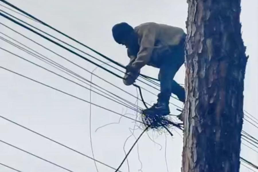 Imagem: Vídeo mostra audácia de criminoso se equilibrando na fiação para furtar cabos em Guarulhos. Publicada no portal A+.