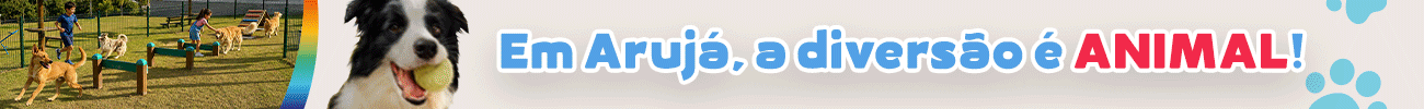 ARUJÁ - PI 4201