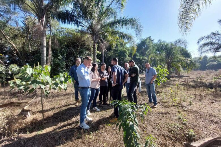 Imagem: Com aporte de R$ 5,1 milhões, Governo de SP restaura 60 hectares da Bacia do Alto Tietê. Publicada no portal A+.
