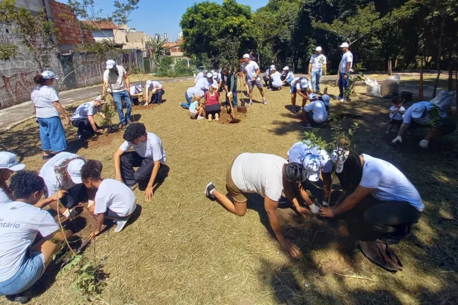 Imagem: Osasco lança manual sobre mini pomares urbanos com 1,3 mil árvores frutíferas plantadas. Publicada no portal A+.