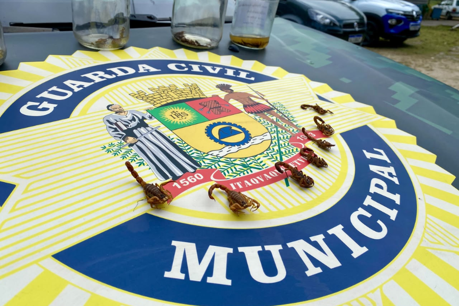 Imagem: Itaquá reforça alerta sobre prevenção a escorpiões e promove ação orientativa no sábado. Publicada no portal A+.