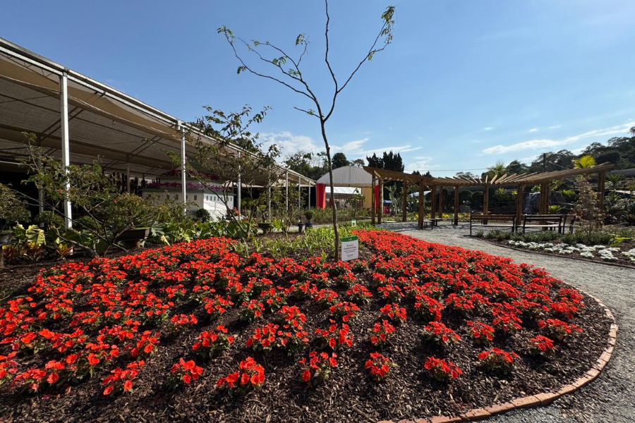 Imagem: Parque AFLORD abre as portas em Arujá e se torna novo destino turístico do Alto Tietê. Publicada no portal A+.