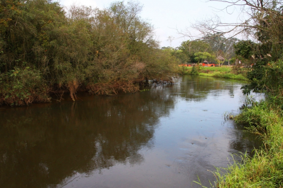 Imagem: Qualidade da água melhora nos afluentes do Rio Tietê em Mogi e Itaquá. Publicada no portal A+.