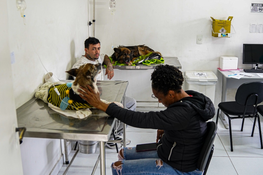 Imagem: Clínica Veterinária de Ferraz atinge marca de 38 mil atendimentos gratuitos desde 2022. Publicada no portal A+.