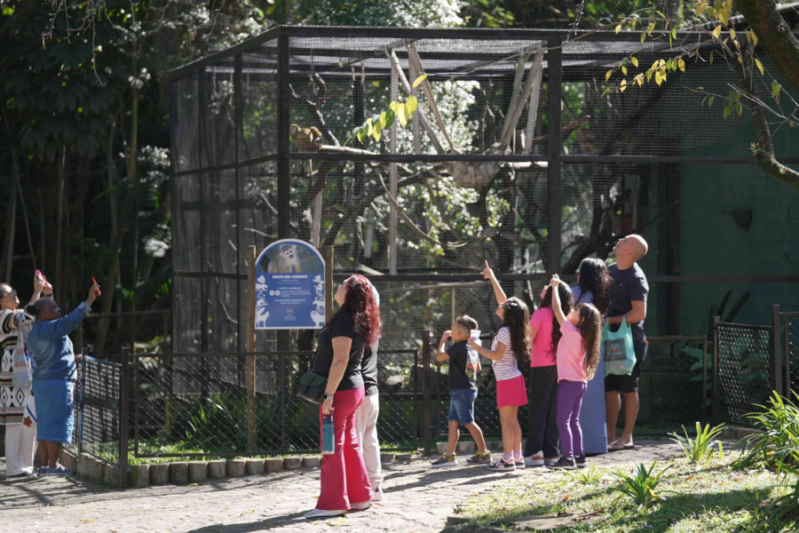 Imagem: Zoológico de Guarulhos abre inscrições para estágio curricular no 1º trimestre de 2027. Publicada no portal A+.